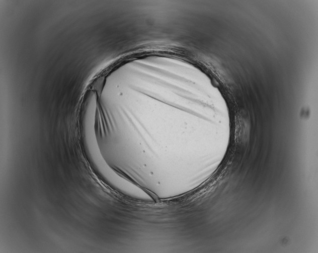 X0000099491164200806121346