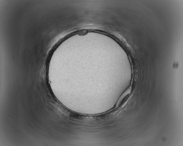 X0000099491167200806121345