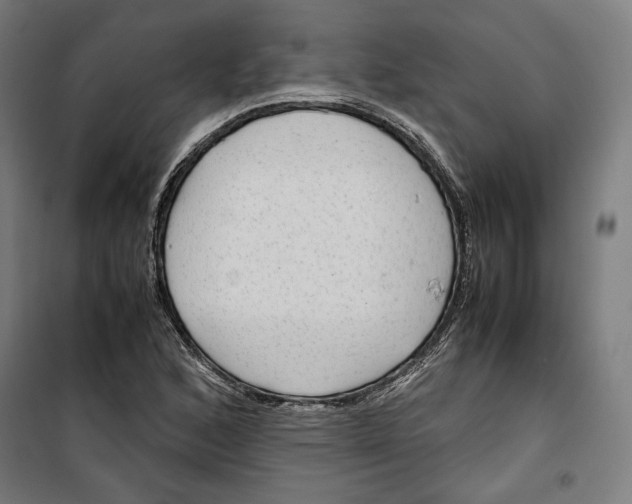 X0000099491168200806121345