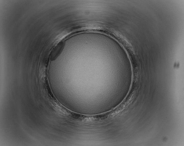 X0000099491169200806121345