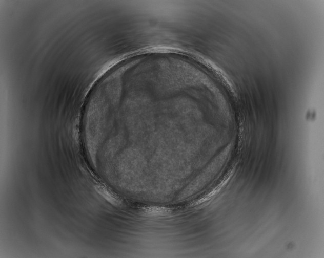 X0000099491170200806121345