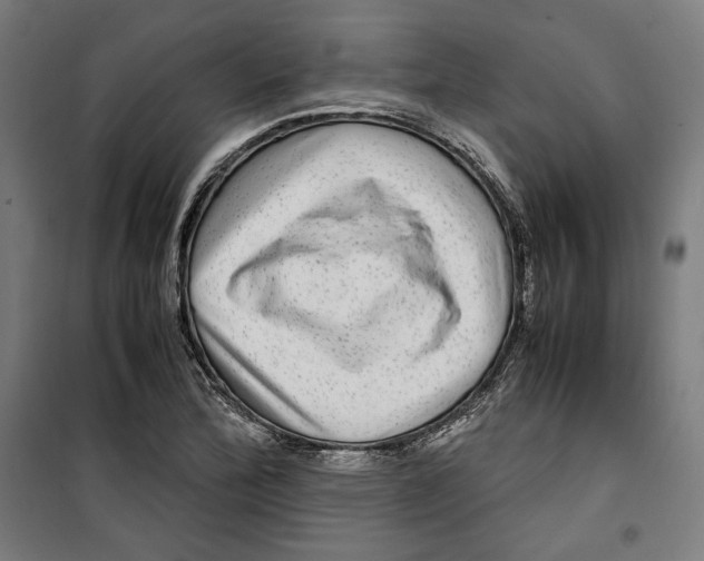 X0000099491172200806121345