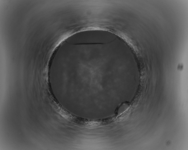 X0000099491173200806121345