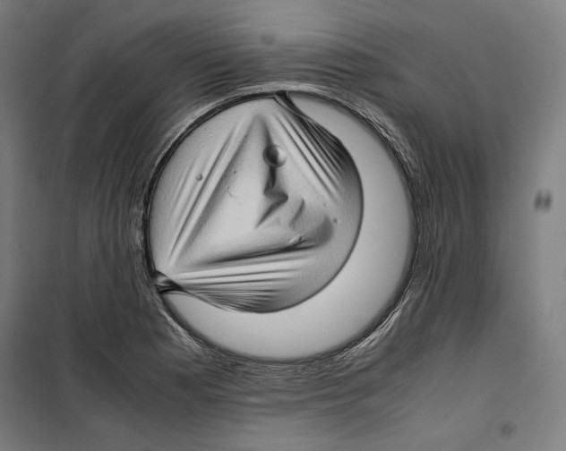 X0000099491177200806121345