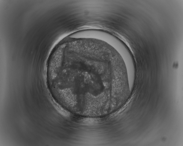 X0000099491179200806121345