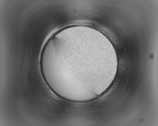 X0000099491180200806121345