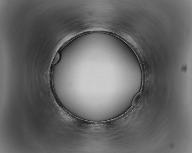 X0000099491181200806121345