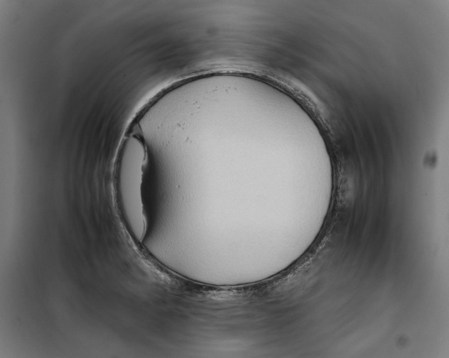 X0000099491182200806121345