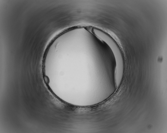 X0000099491183200806121345