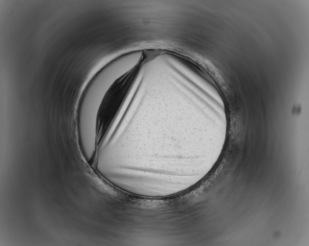 X0000099491184200806121345