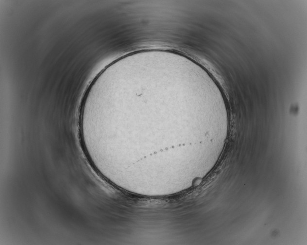 X0000099491187200806121345