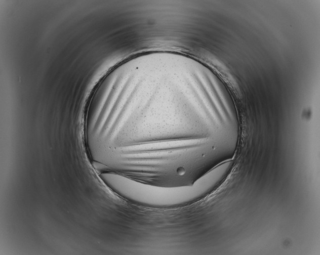 X0000099491188200806121345