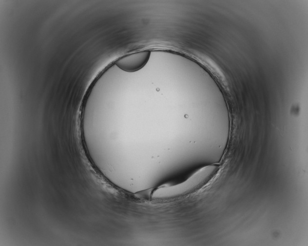 X0000099491190200806121345