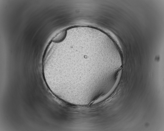 X0000099491191200806121345