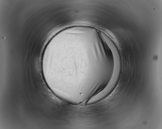 X0000099491192200806121345