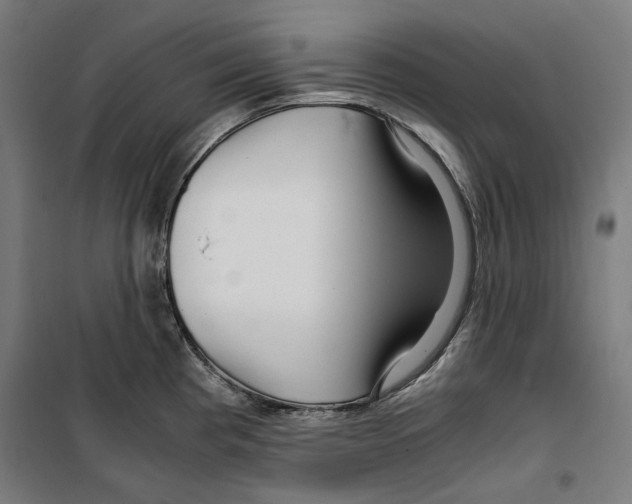 X0000099491193200806121345