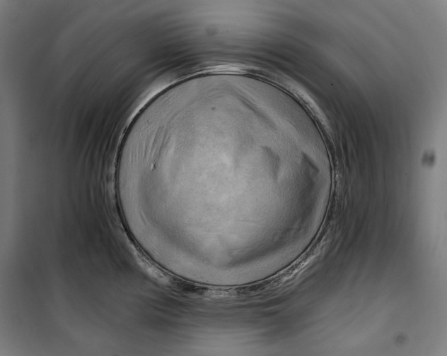 X0000099491194200806121345