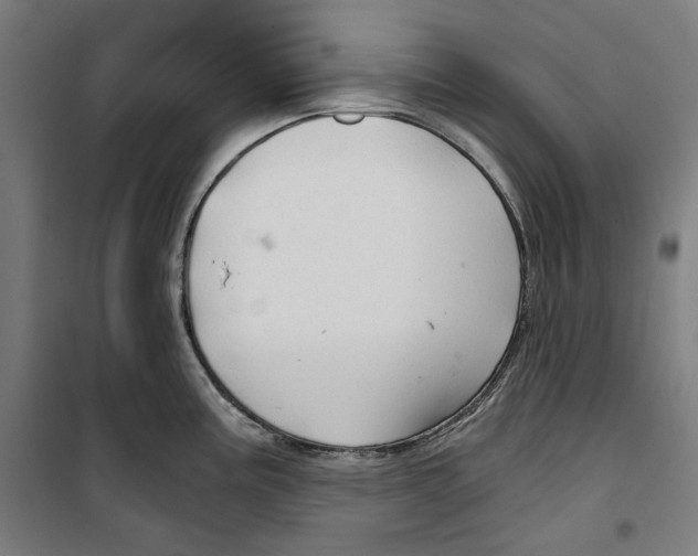 X0000099491195200806121345