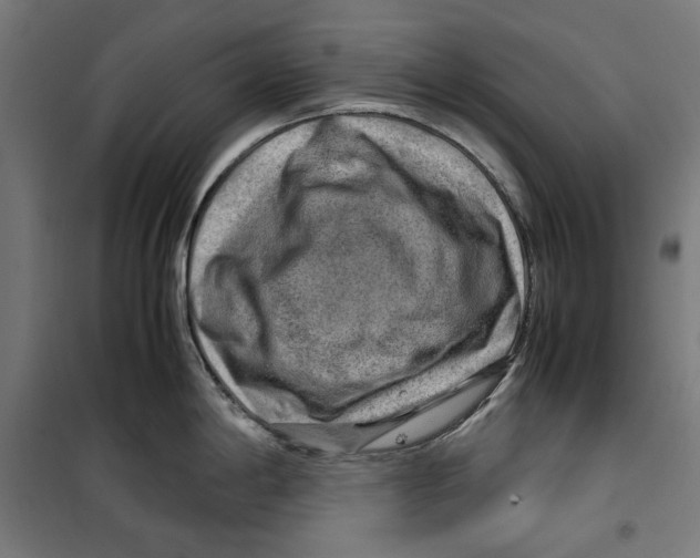 X0000099491198200806121345