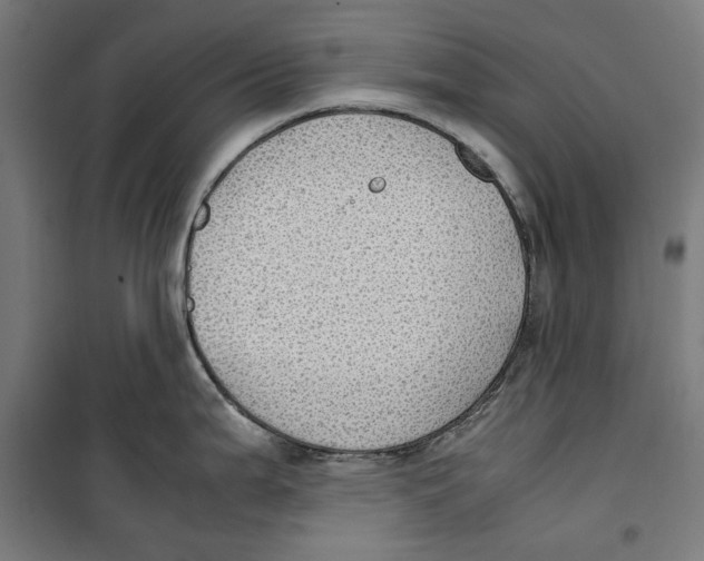 X0000099491199200806121345