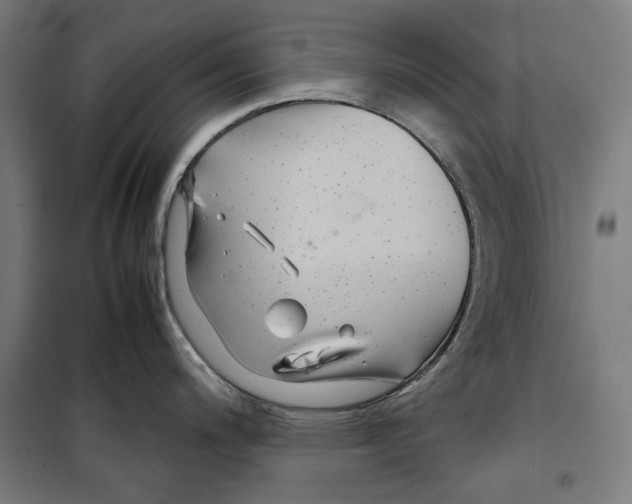 X0000099491200200806121345