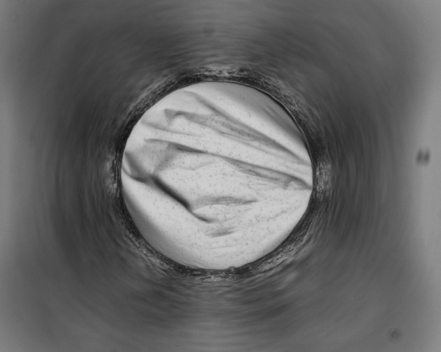 X0000099491202200806121344