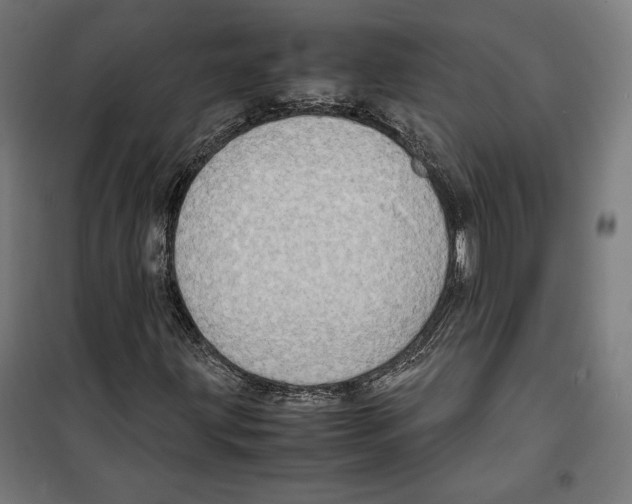 X0000099491203200806121344