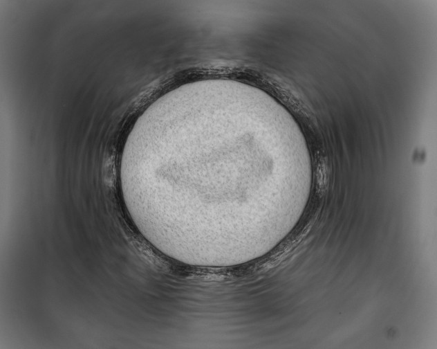 X0000099491204200806121344