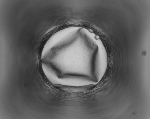 X0000099491206200806121344