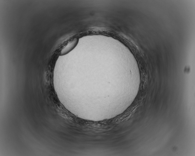 X0000099491207200806121344