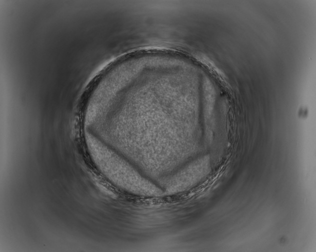 X0000099491208200806121344