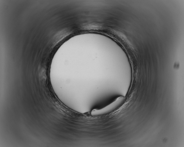 X0000099491209200806121344