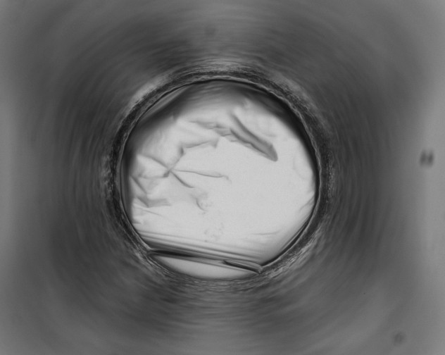 X0000099491210200806121344