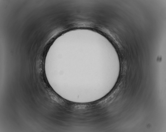 X0000099491211200806121344