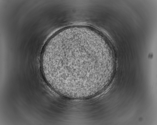 X0000099491212200806121345