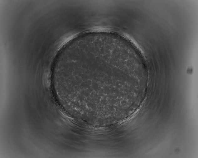 X0000099491213200806121345