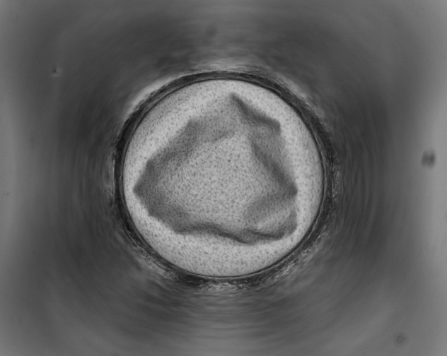 X0000099491214200806121345