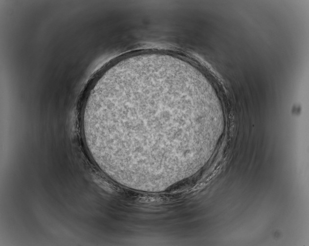 X0000099491215200806121345