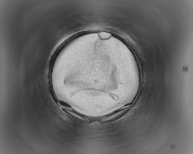 X0000099491216200806121345