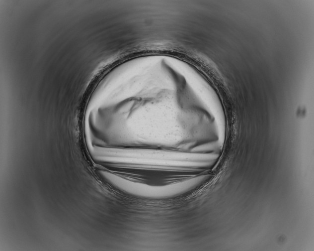 X0000099491218200806121345