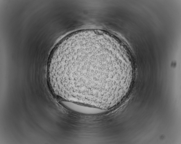 X0000099491220200806121345