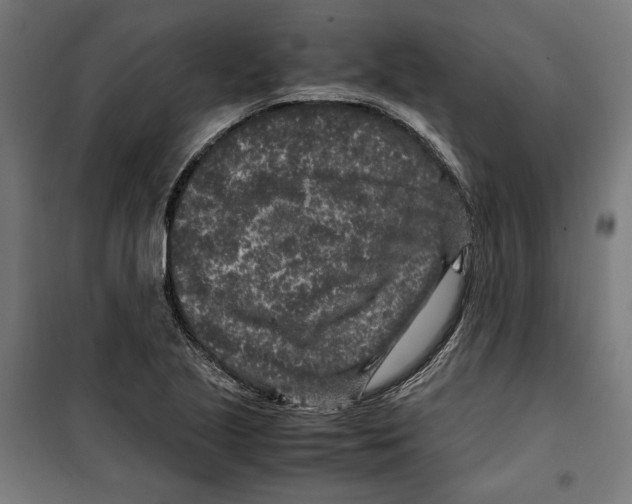 X0000099491221200806121345