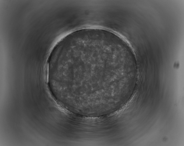 X0000099491223200806121345