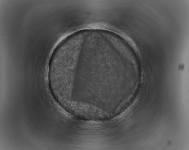 X0000099491224200806121345