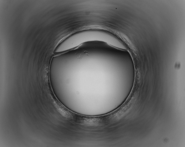 X0000099491225200806121345