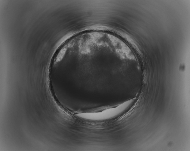 X0000099491229200806121345