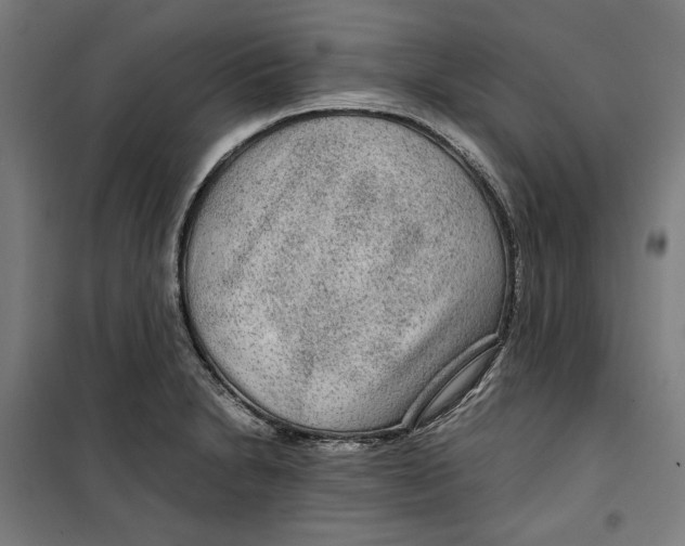 X0000099491230200806121345