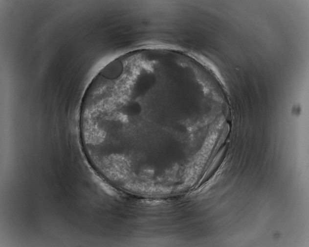 X0000099491231200806121345