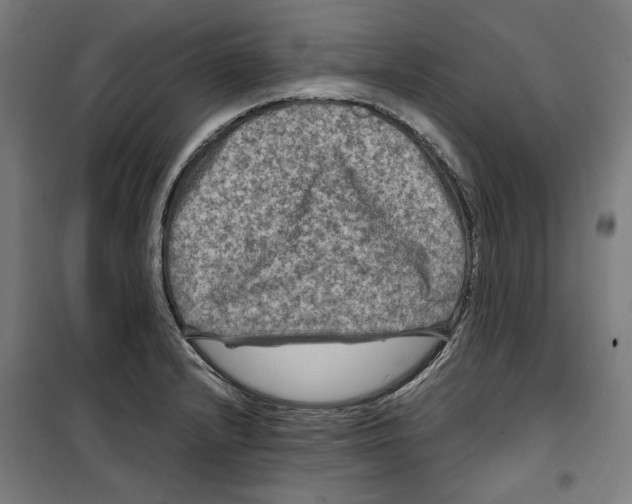 X0000099491232200806121345