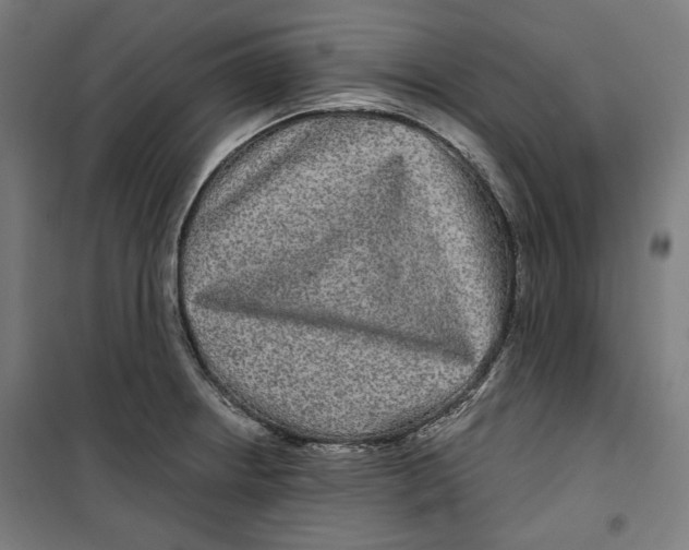 X0000099491234200806121345